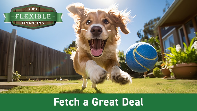 Playful dog chasing ball in fenced in yard. Promotional details included: 