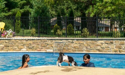 Aluminum fence around pool